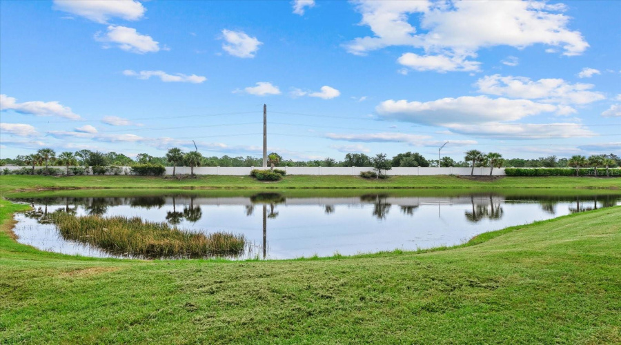 Pond View