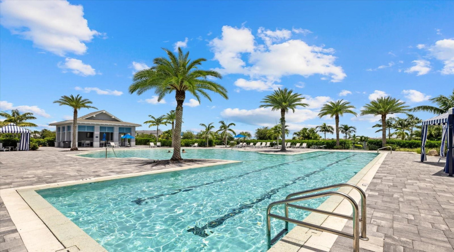 Amenity Center Pool