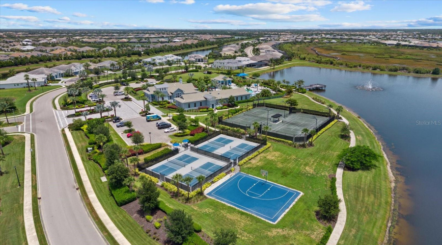 Basketball Court