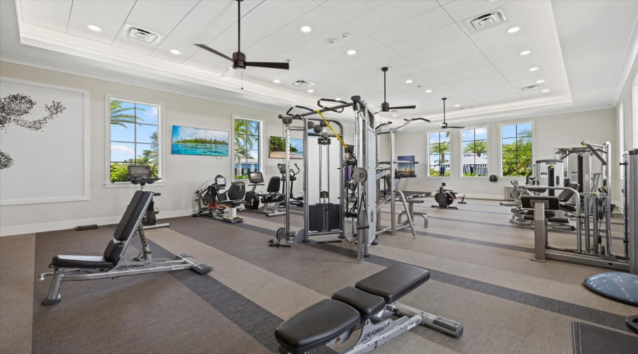 Amenity Gym