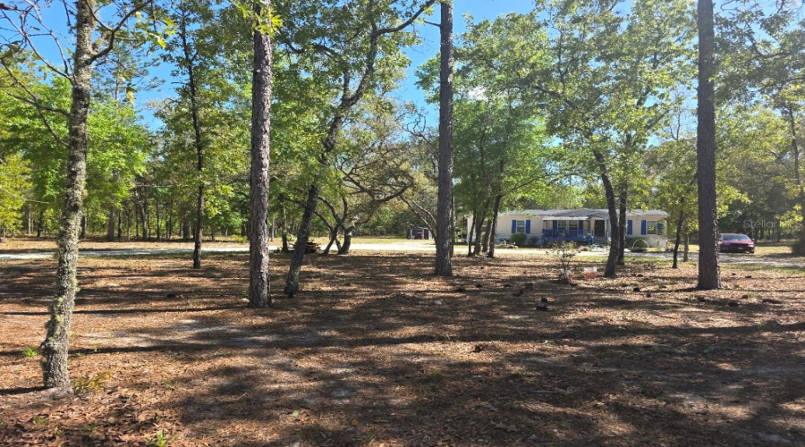 Bronson, Florida 32621, 4 Bedroom Bedrooms, ,2 Bathroombathrooms,Residential,For Sale,80Th,0,Mfrtb8484993