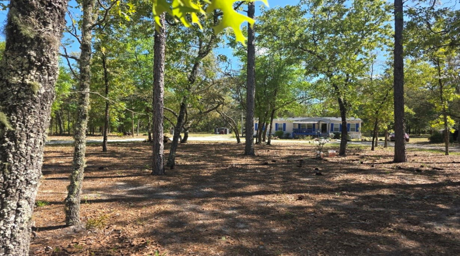 Bronson, Florida 32621, 4 Bedroom Bedrooms, ,2 Bathroombathrooms,Residential,For Sale,80Th,0,Mfrtb8484993