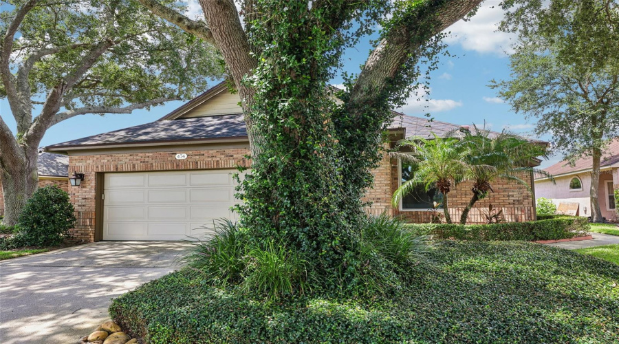 Lake Mary, Florida 32746, 3 Bedroom Bedrooms, ,2 Bathroombathrooms,Residential,For Sale,Arrowmount,0,Mfro6436658