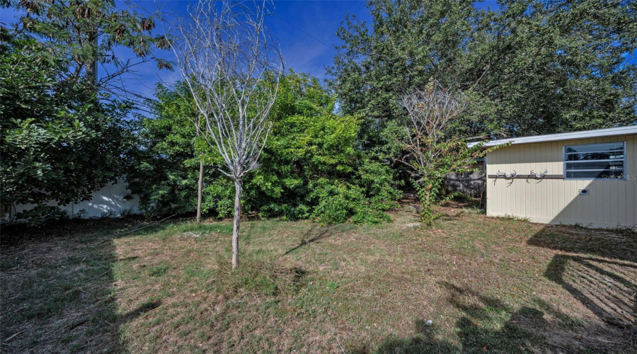 Fenced Back Yard