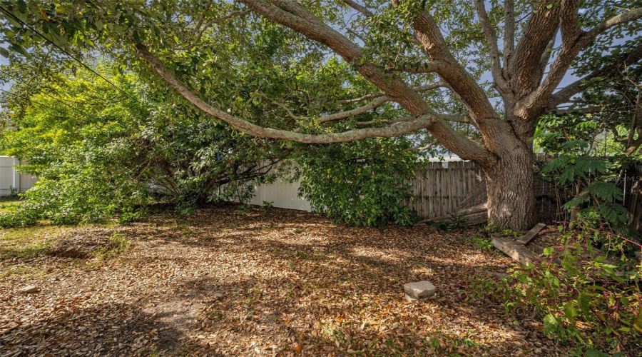 Dunedin, Florida 34698, 3 Bedroom Bedrooms, ,2 Bathroombathrooms,Residential,For Sale,Coronado,0,Mfrtb8454623