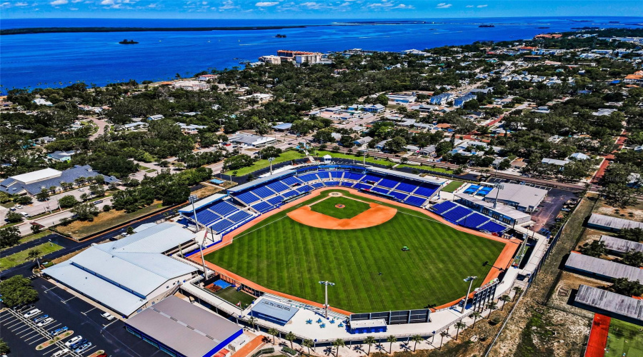 Toronto Blue Jays