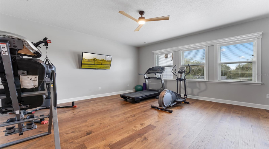 Gym/Guest Room2