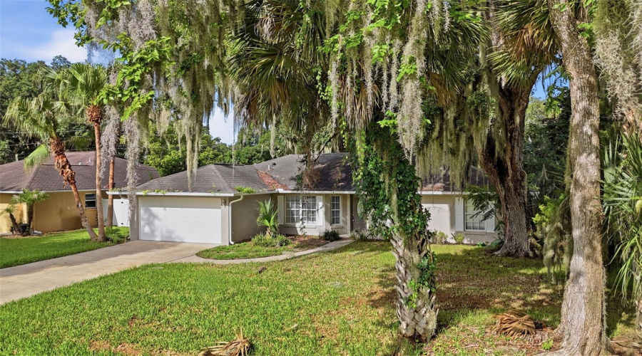 Edgewater, Florida 32141, 3 Bedroom Bedrooms, ,2 Bathroombathrooms,Residential,For Sale,Mango Tree,0,Mfrv4950209