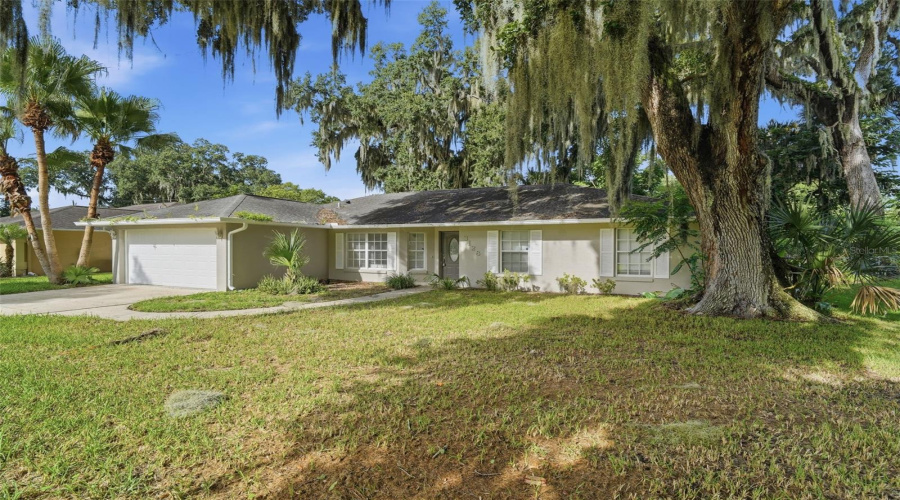 Edgewater, Florida 32141, 3 Bedroom Bedrooms, ,2 Bathroombathrooms,Residential,For Sale,Mango Tree,0,Mfrv4950209