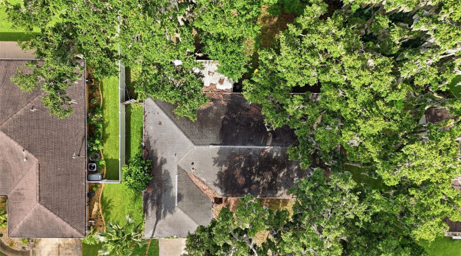 Edgewater, Florida 32141, 3 Bedroom Bedrooms, ,2 Bathroombathrooms,Residential,For Sale,Mango Tree,0,Mfrv4950209