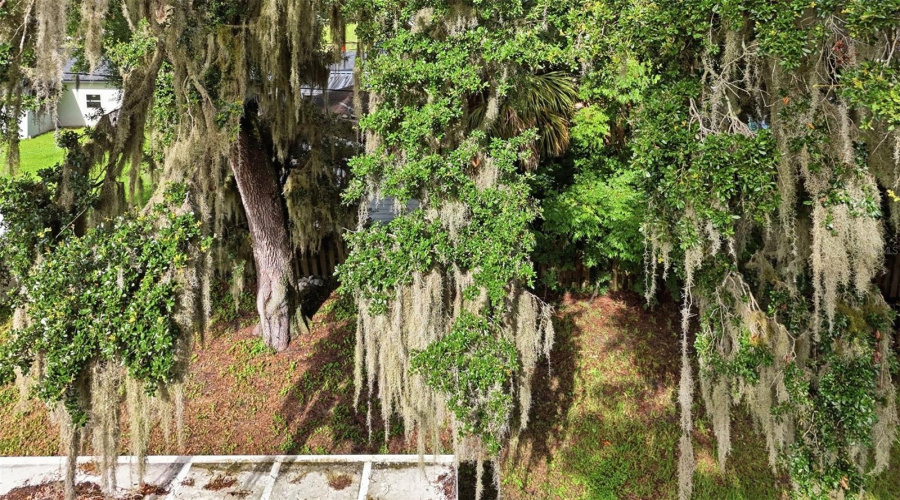Edgewater, Florida 32141, 3 Bedroom Bedrooms, ,2 Bathroombathrooms,Residential,For Sale,Mango Tree,0,Mfrv4950209