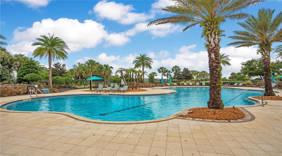 Resort Style Community Pool