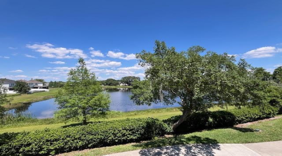 View From Bedroom