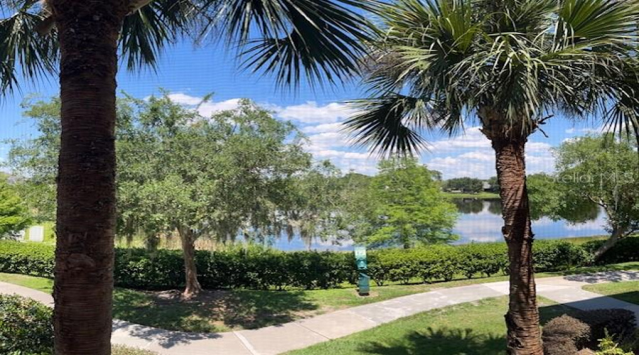 View From Living Area