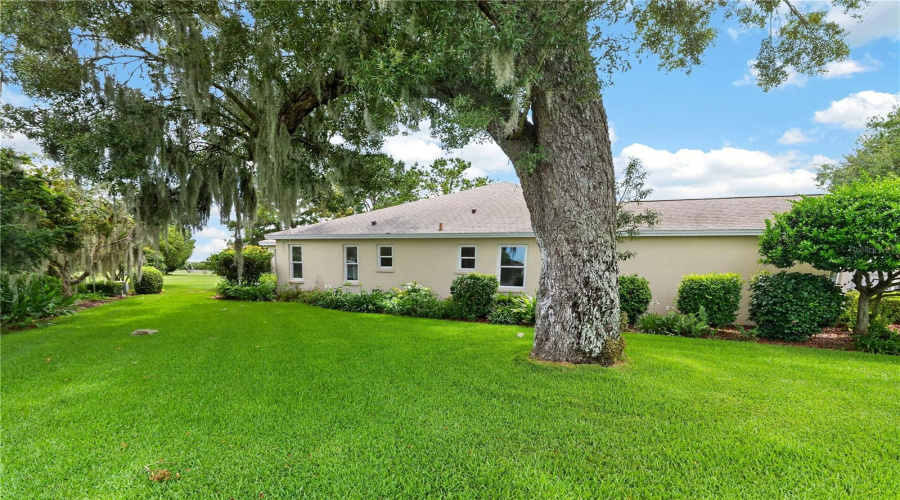 Side Yard View Featuring Mature Shade Trees, Manicured Grass, And A Serene Garden-Like Setting.