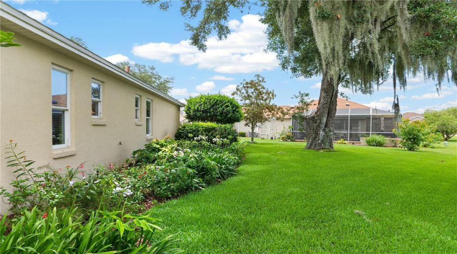 Beautifully Maintained Side Yard With Mature Trees, Established Landscaping, And A Private, Peaceful Feel.