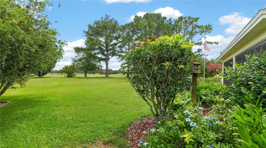 Expansive Green Space With Mature Landscaping And Open Views, Creating A Tranquil Outdoor Backdrop.
