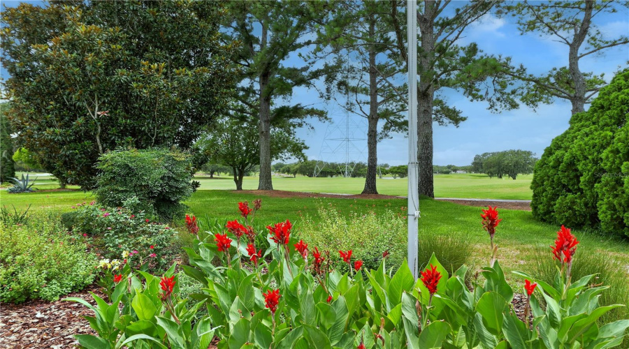 Picturesque Garden View With Vibrant Flowers, Mature Trees, And Open Green Space Beyond.