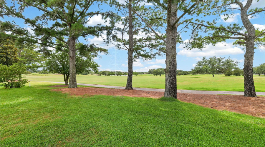 Expansive Backyard Views With Mature Trees And Open Green Space, Offering A Serene And Picturesque Setting.