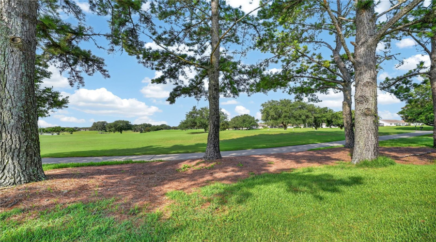 Back Yard Lot Line View Toward Golf Course