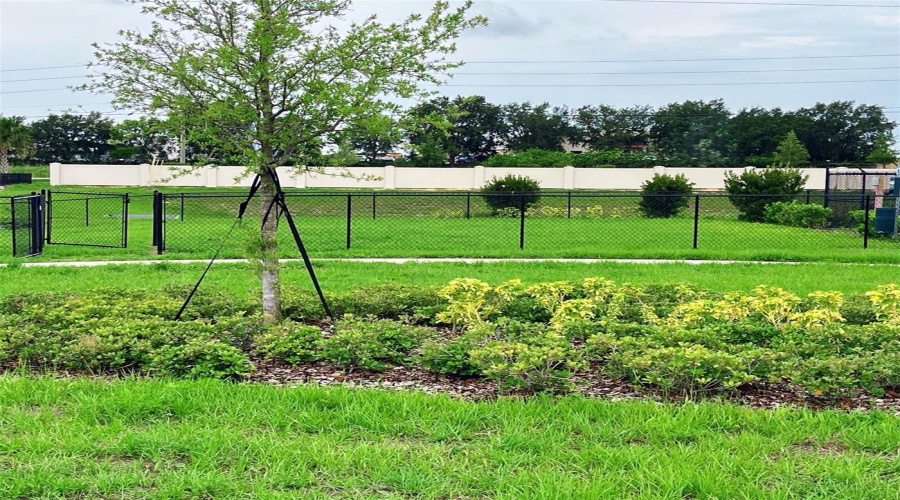 Community Dog Park