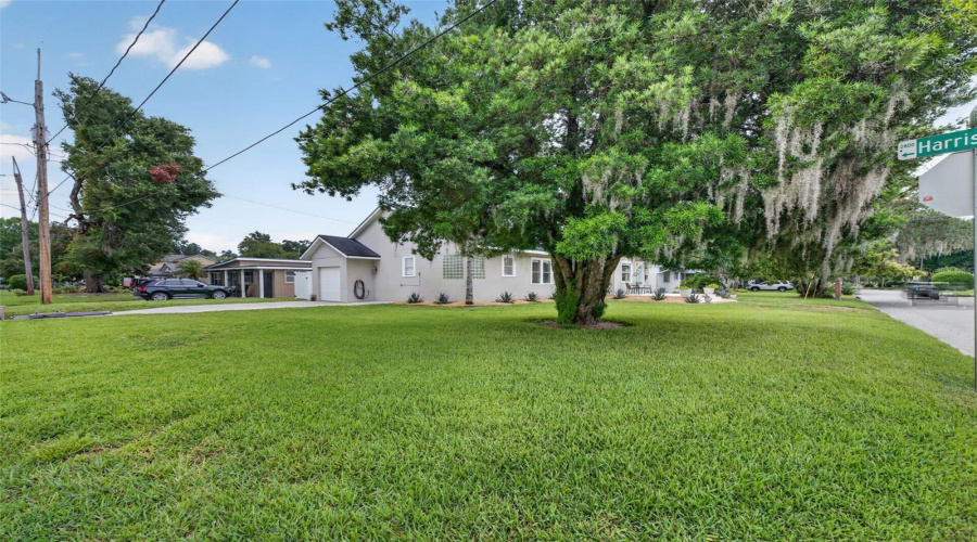 Front Yard View