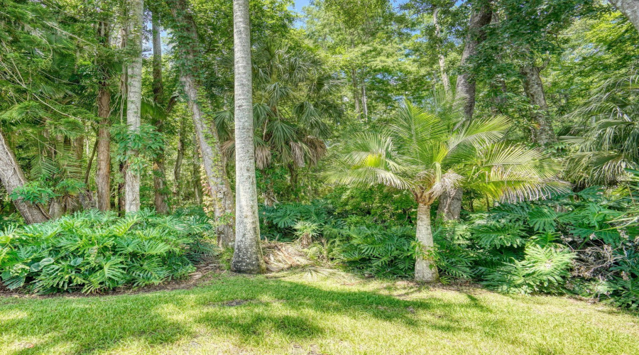 Palm Harbor, Florida 34685, 2 Bedroom Bedrooms, ,2 Bathroombathrooms,Residential,For Sale,Killdeer,0,Mfrtb8522713