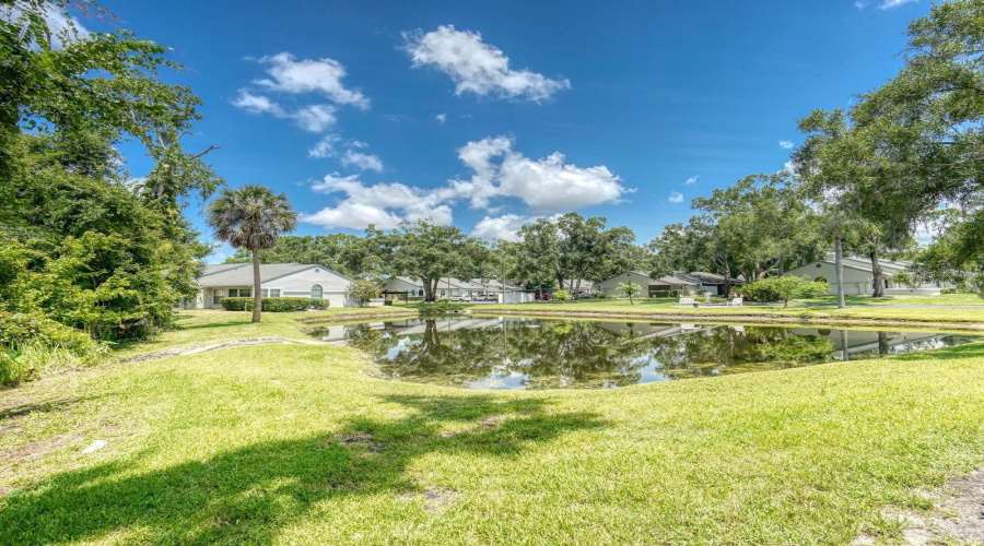 Palm Harbor, Florida 34685, 2 Bedroom Bedrooms, ,2 Bathroombathrooms,Residential,For Sale,Killdeer,0,Mfrtb8522713