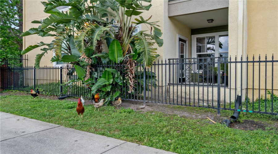 Tampa, Florida 33605, 2 Bedroom Bedrooms, ,2 Bathroombathrooms,Residential,For Sale,Palm,0,Mfrtb8507079