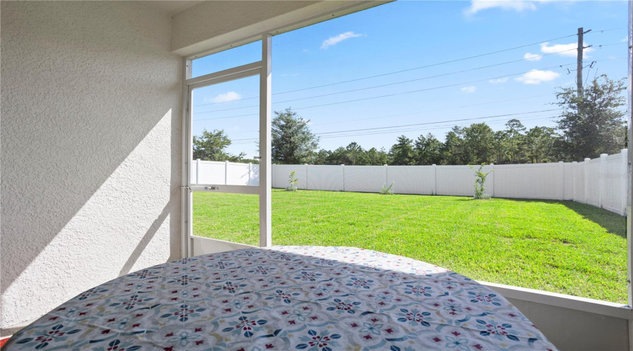 Back Patio