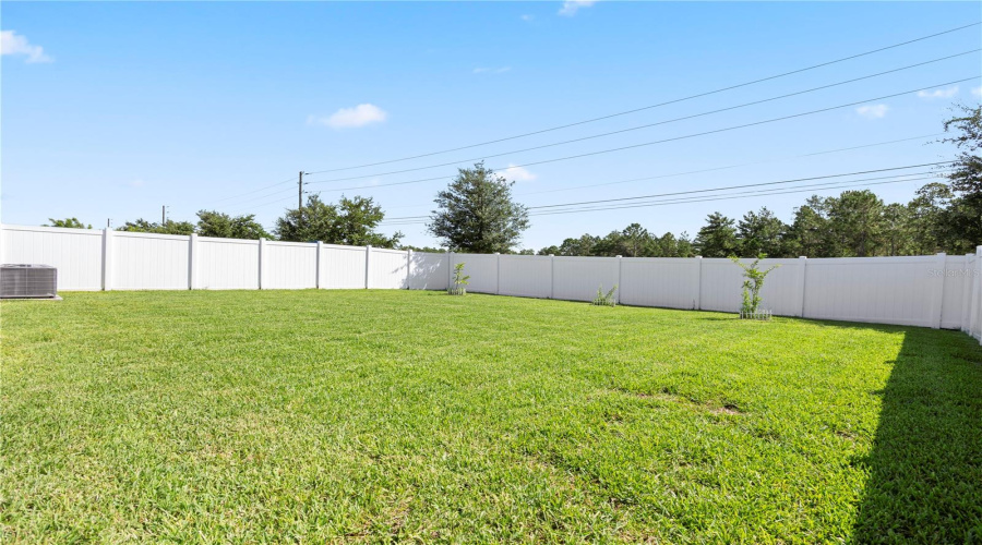 Back Yard