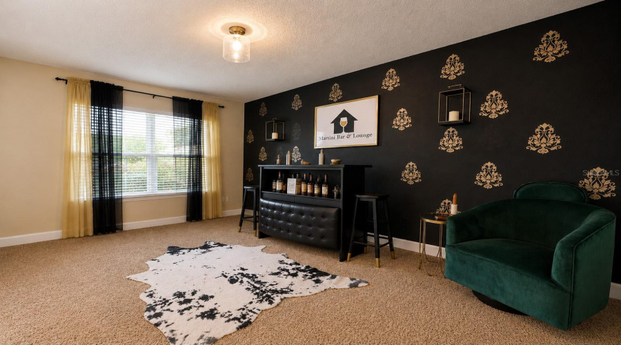 Bonus/Den/Flex Room