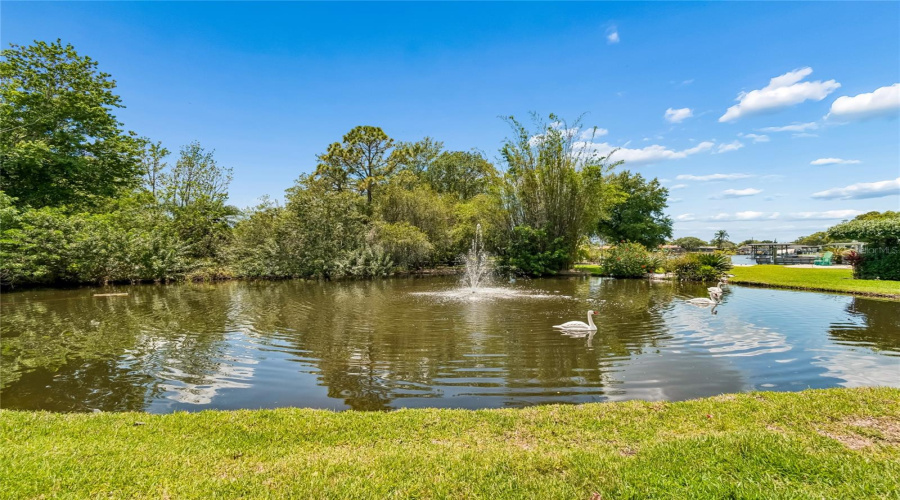 New Port Richey, Florida 34655, 4 Bedroom Bedrooms, ,4 Bathroombathrooms,Residential,For Sale,Cachette De Riviera,0,Mfrw7886062