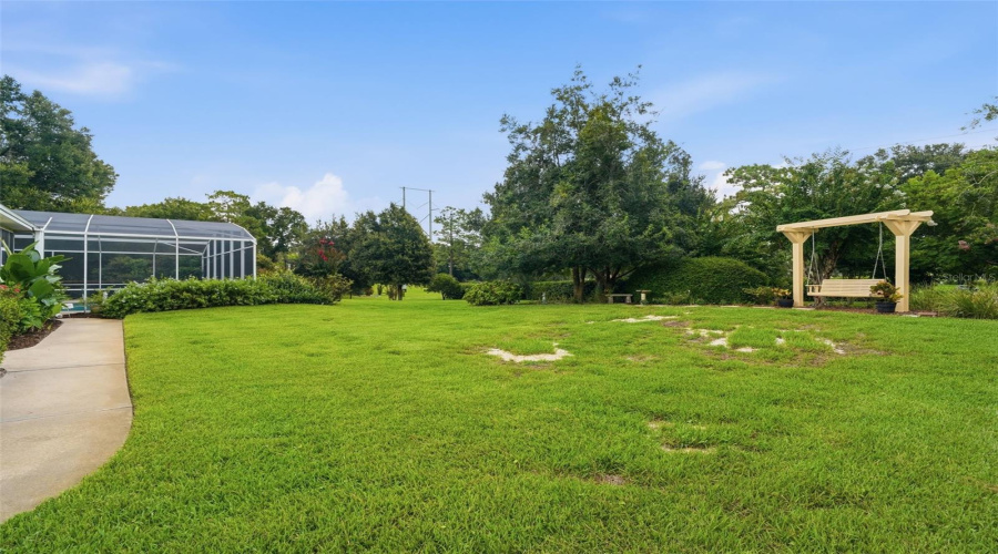 Back Yard