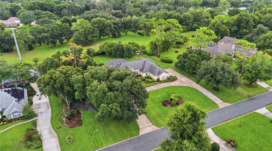 Top Aerial View