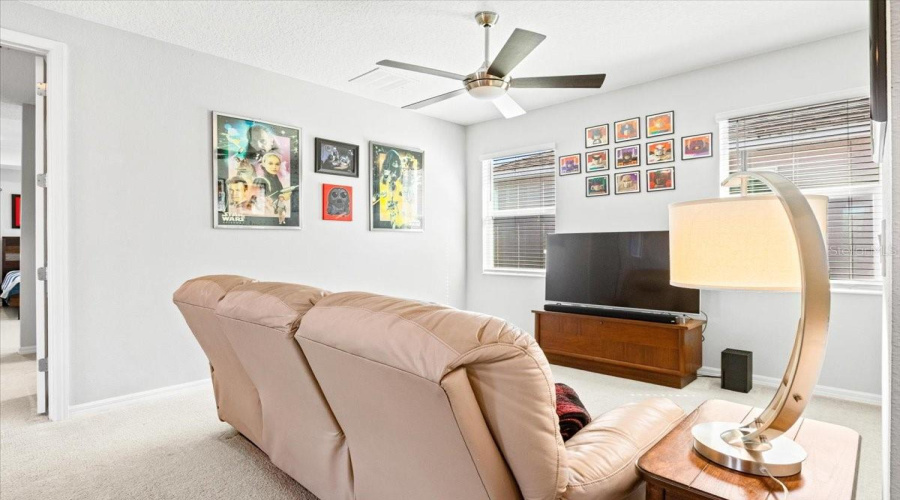 Bonus Room / Loft