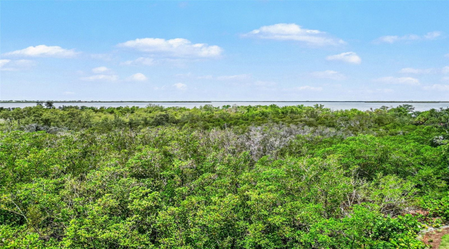 Palmetto, Florida 34221, 3 Bedroom Bedrooms, ,2 Bathroombathrooms,Residential,For Sale,Terra Ceia Bay,0,Mfrtb8513380