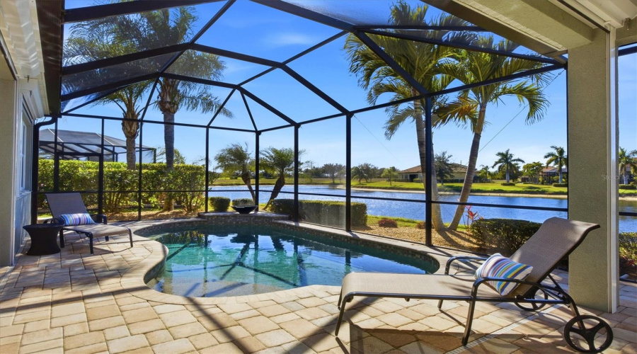 Beautiful Heated Saltwater Pool With Pond/Lakeview