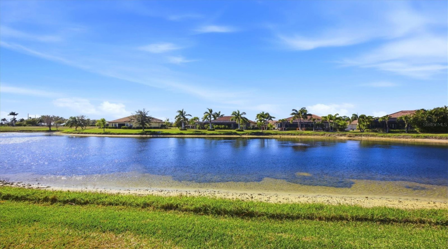 Pond/Lakeview From Rear Of Property