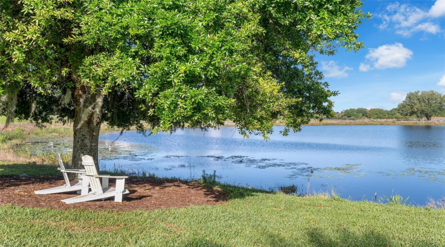 Winter Garden, Florida 34787, 5 Bedroom Bedrooms, ,4 Bathroombathrooms,Residential,For Sale,Canoe,0,Mfro6398949