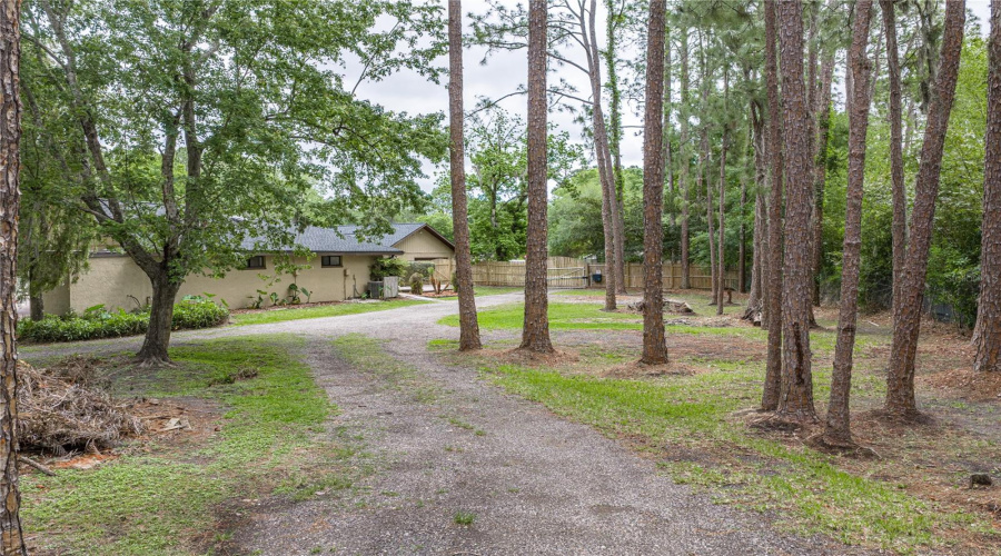 Wesley Chapel, Florida 33544, 4 Bedroom Bedrooms, ,3 Bathroombathrooms,Residential,For Sale,Thunderhead,0,Mfrtb8496123