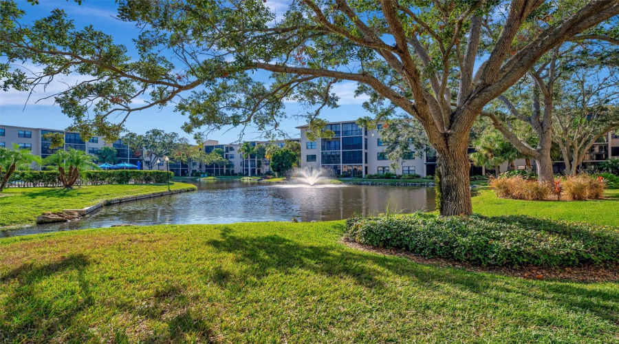 Bradenton, Florida 34205, 1 Bedroom Bedrooms, ,1 Bathroombathrooms,Residential,For Sale,30Th,0,Mfra4688153
