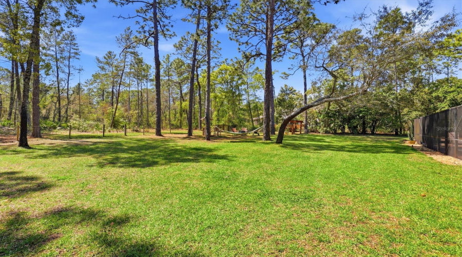 Park-Like Backyard