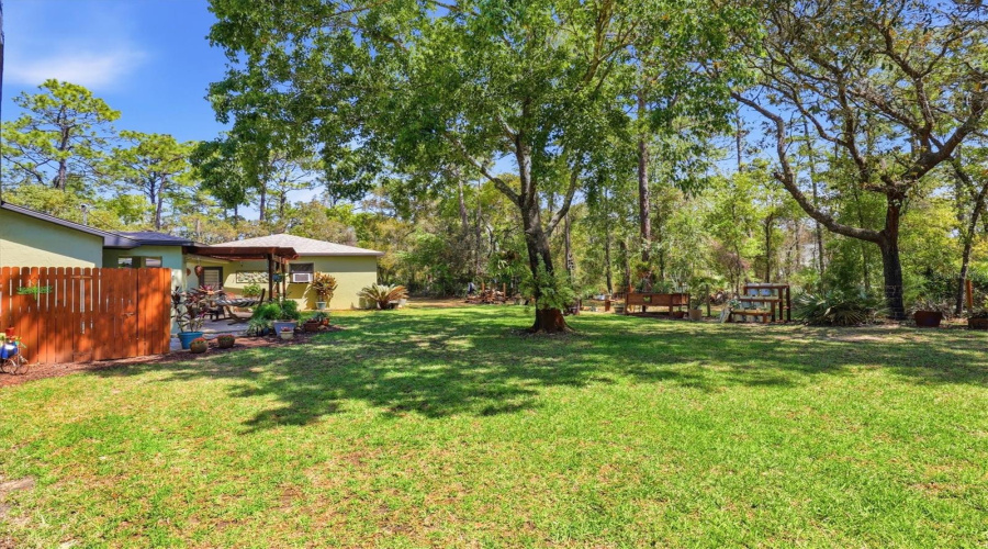 Park-Like Backyard