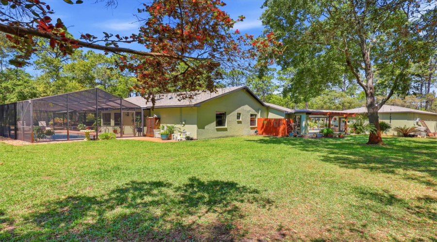 Park-Like Backyard