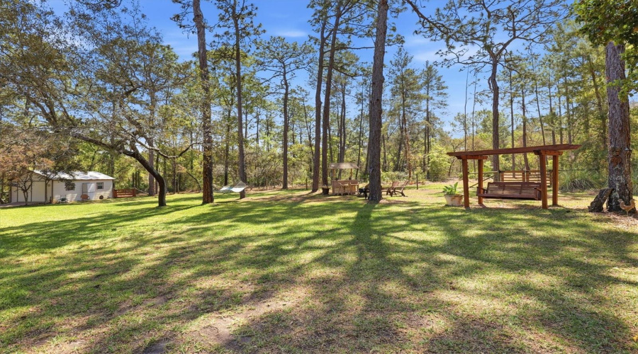 Backyard Park
