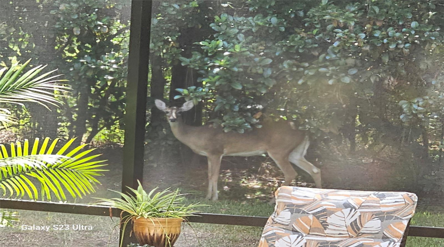 Frequent Visitors