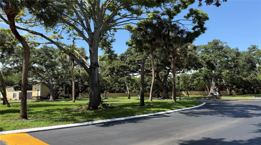 St Petersburg, Florida 33712, 1 Bedroom Bedrooms, ,1 Bathroombathrooms,Residential,For Sale,58Th,0,Mfrtb8538646