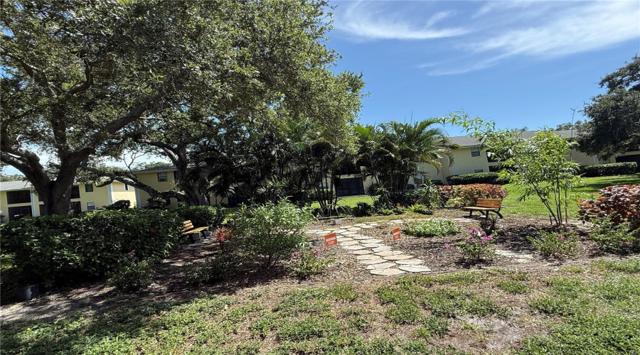 Butterfly Garden