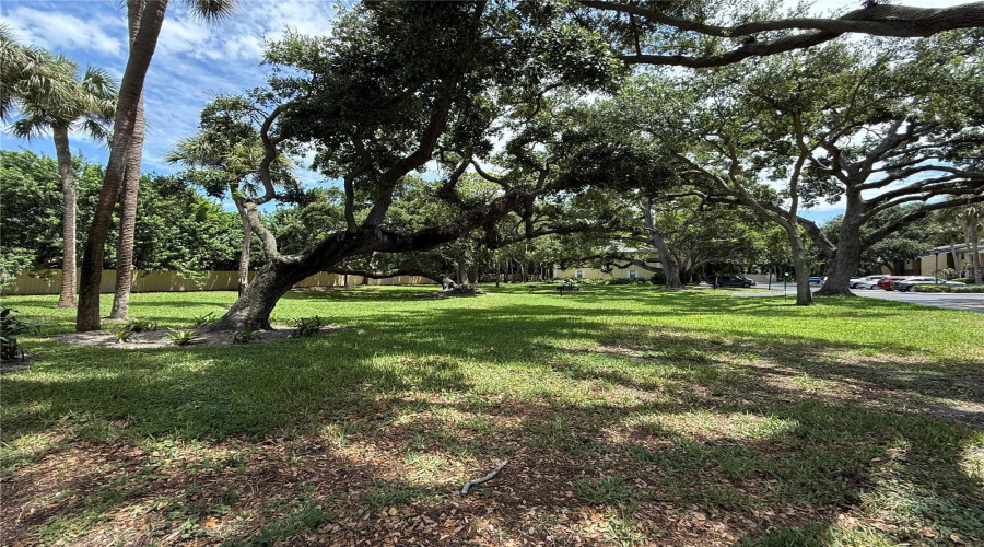 Adjacent To Tranquil Park Area